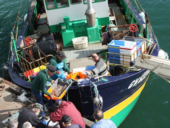 Le Guilvinec - Fischerboote im Hafen