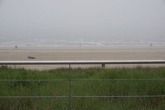 Rauer Wind am nebligen Strand