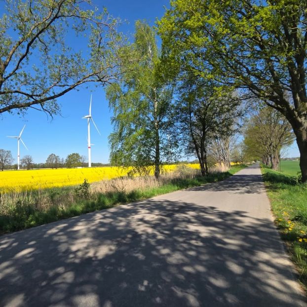 Elbradweg Hamburg - Dresden - April 2025