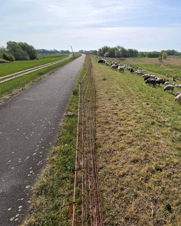 Elbradweg auf dem Deich