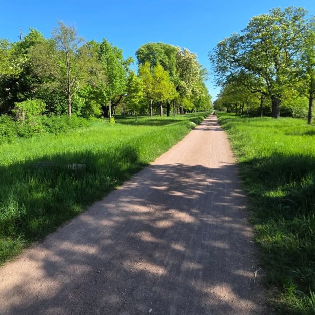 Elbradweg Hamburg - Dresden - April 2025