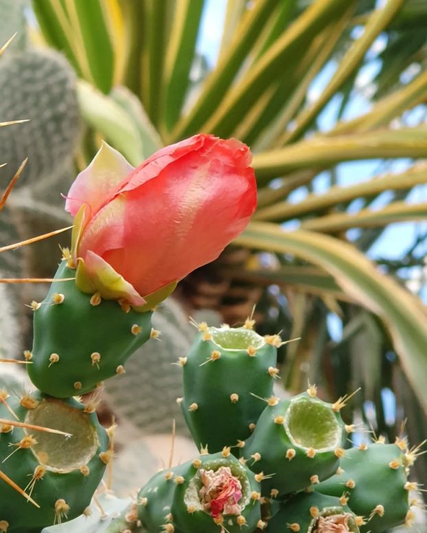 Essen - September 2024