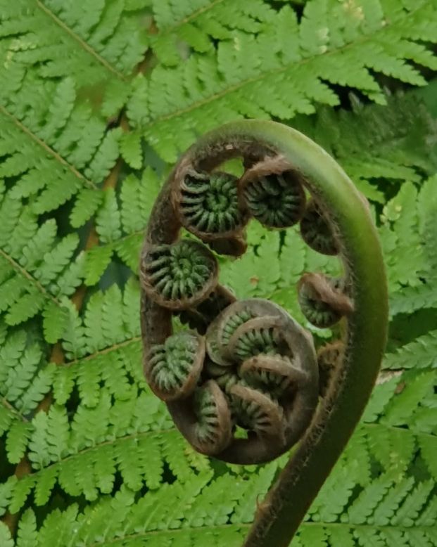 Essen - September 2024