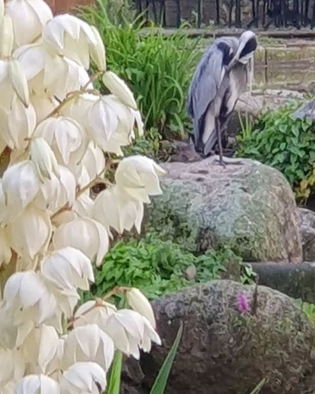 Essen - September 2024