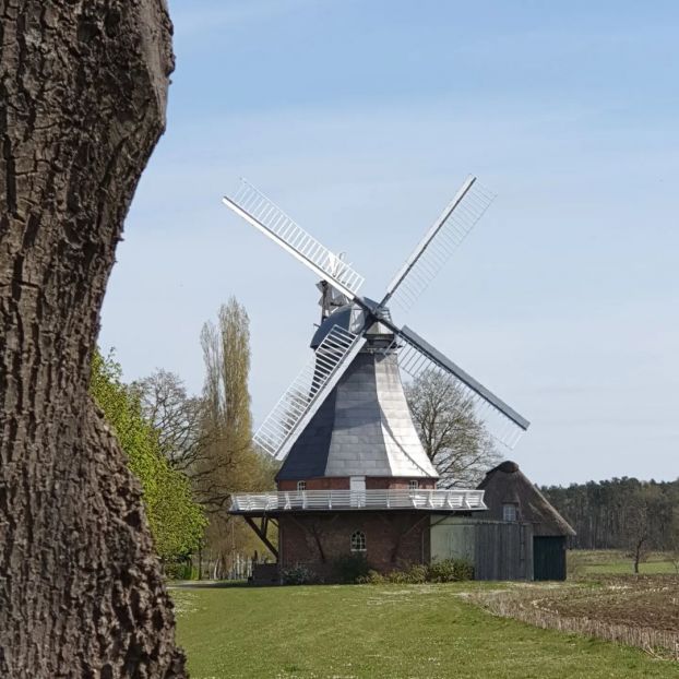 Windmühle