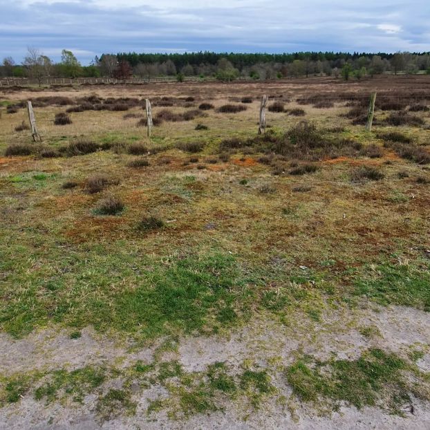 Hamburg / Altes Land - April 2022