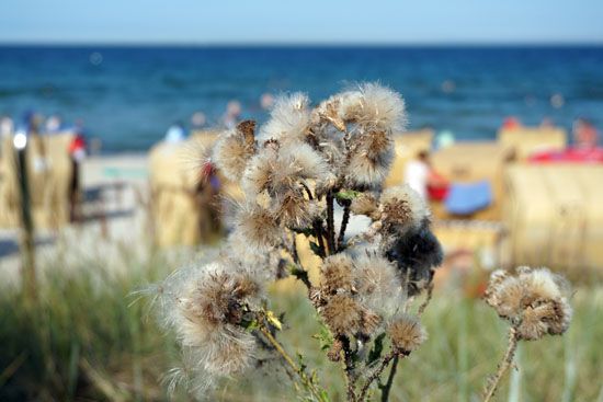 Strand in Scharbeutz