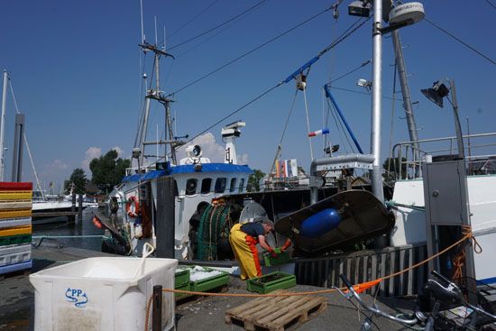 Fischerboot am Niendorfer Hafen