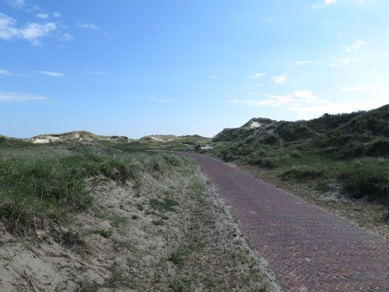 Radweg im Dünennationalpark