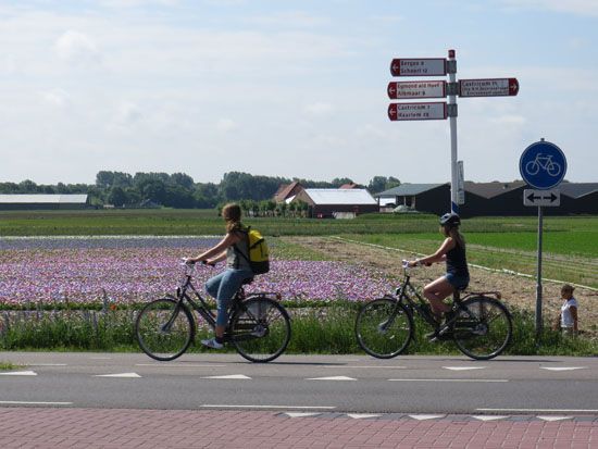 Holland: Bergen und Umgebung - Juni 2017