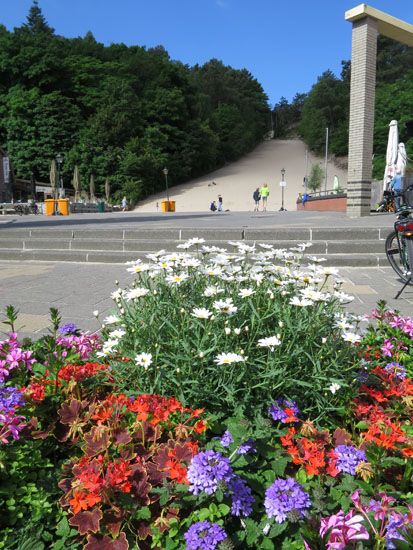 Holland: Bergen und Umgebung - Juni 2017