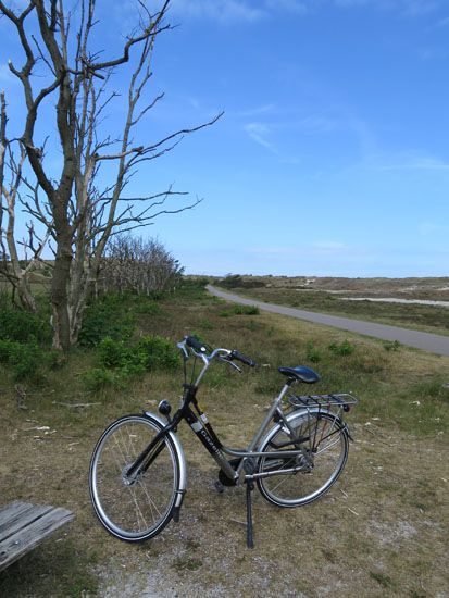 Radweg im Dünennationalpark