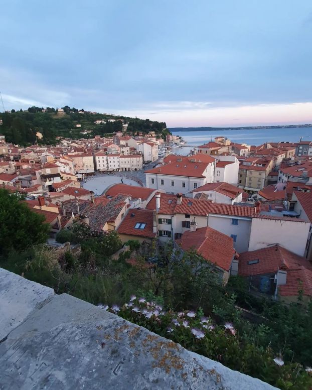 Ausblick auf Piran