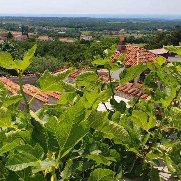 Višnjan - Ausblick