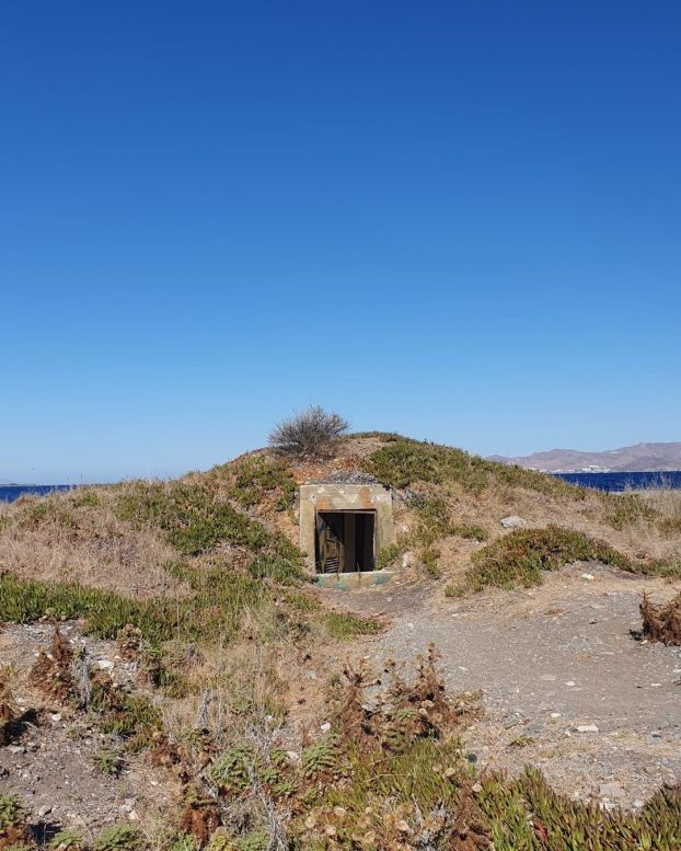 Alter Bunker