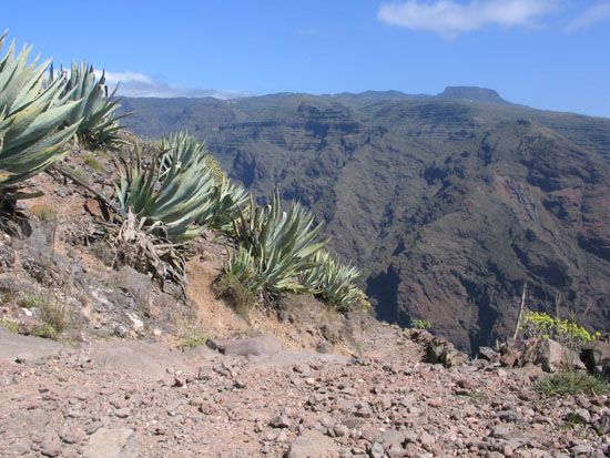 Valle Gran Rey - Wanderung nach Arure