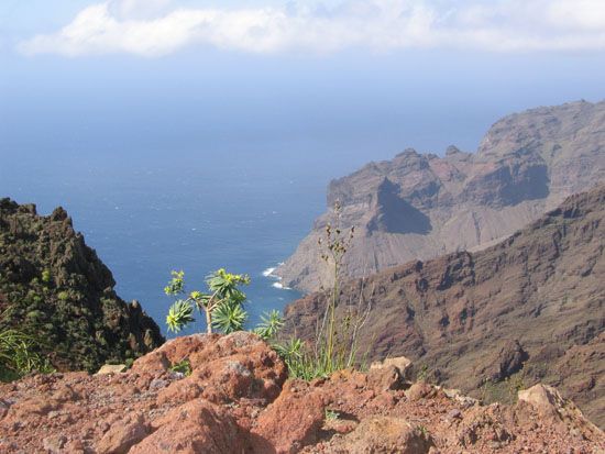 La Gomera - März 2008