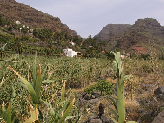 Valle Gran Rey - Wanderung zum Wasserfall - El Guro