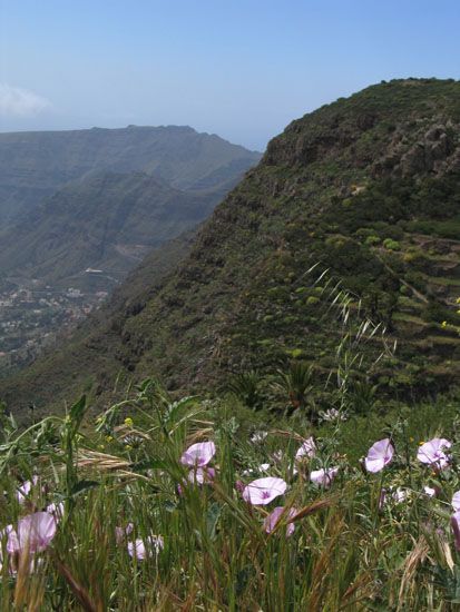 La Gomera - März 2008