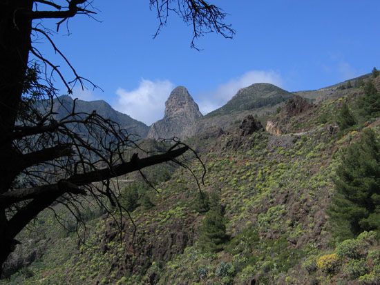 La Gomera - März 2008