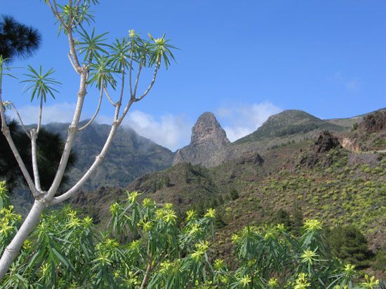 La Gomera - März 2008