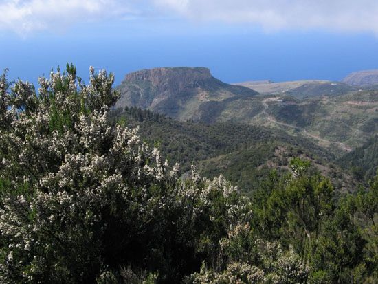 Nationalpark - Wanderung zum Garajonay