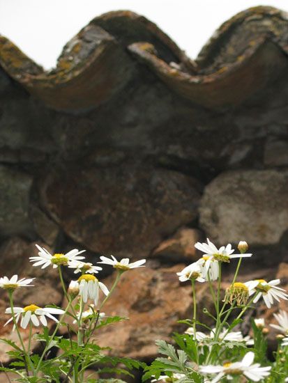 Nationalpark - Wanderung zum Garajonay - Laguna Grande