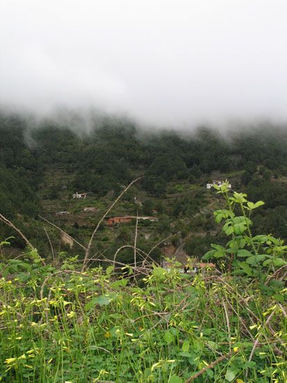 La Gomera - März 2008