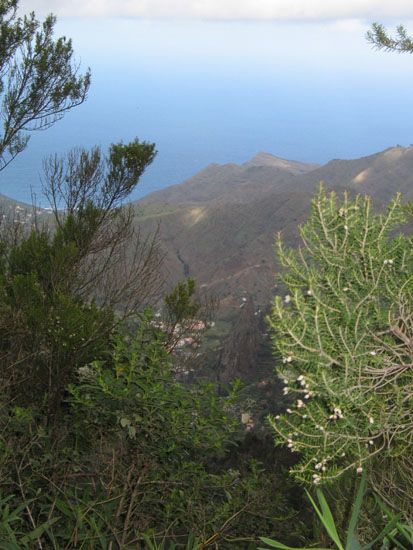 La Gomera - März 2008