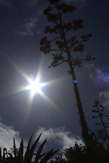 La Palma - Oktober 2009