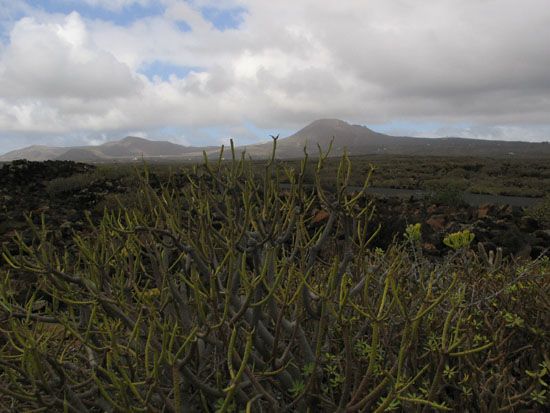 Lanzarote - September 2006