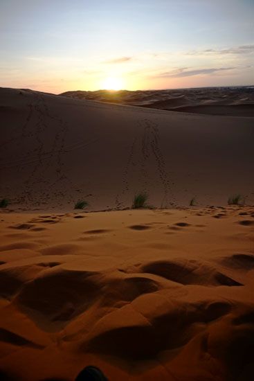 Sonnenuntergang auf den Dünen der Erg Chebbi