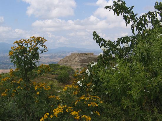 Monte Albán: Blumiger Ausblick