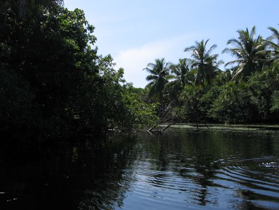 La Ventanilla: Lagune