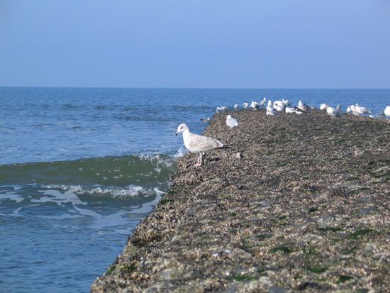 Norderney - Oktober 2007