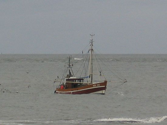 Norderney Fischkutter