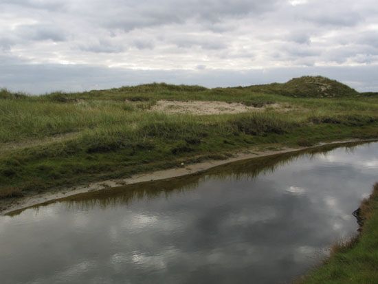 Norderney Naturschutzgebiet - Ruhezone