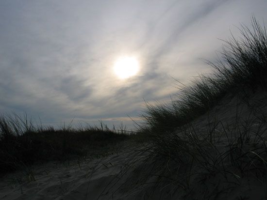 Norderney Düne