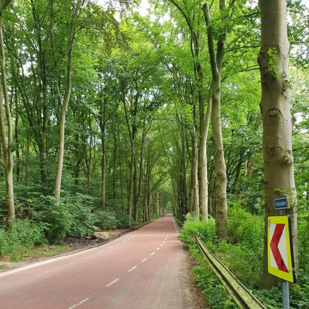 Radweg