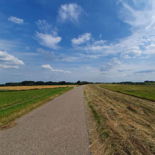 Bei Pannerden