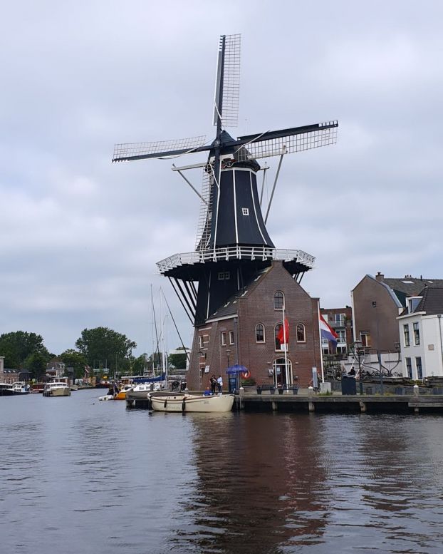Windmühle in Haarlem