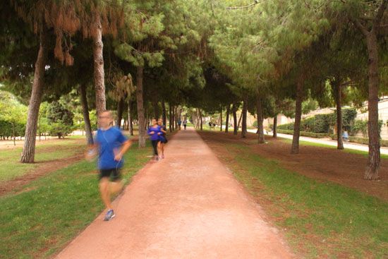 Jogger in den Jardines del Turia