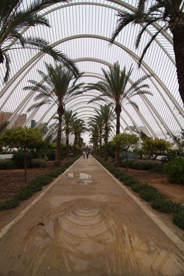 Ciudad de las Artes y de las Ciencias - L’Umbracle