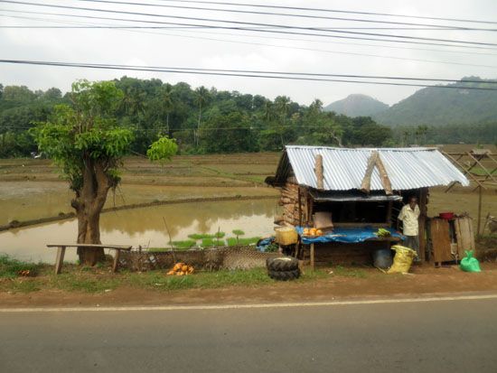 Sri Lanka - November 2017