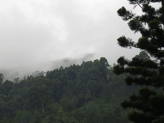 Ausblick auf vernebelte Berge