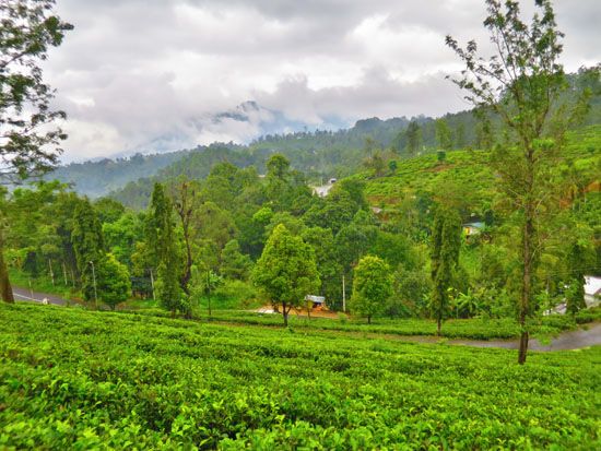 Sri Lanka - November 2017