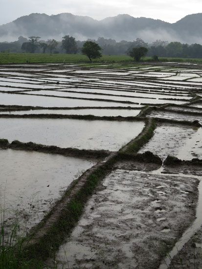 Sri Lanka - November 2017