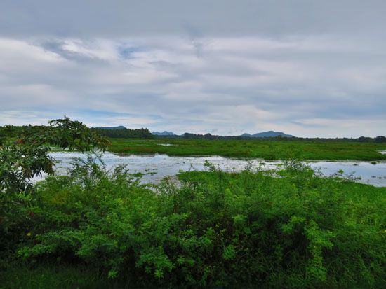 Sri Lanka - November 2017