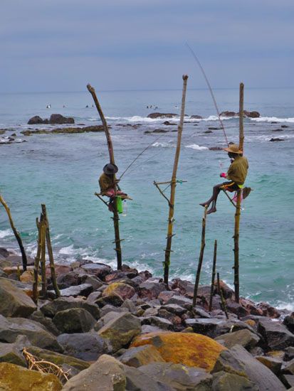 Sri Lanka - November 2017