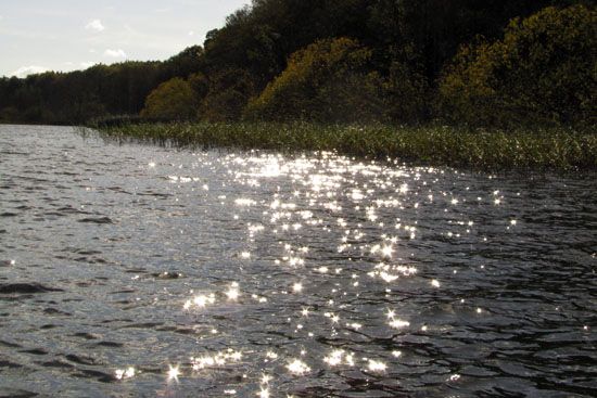 Wolgastsee